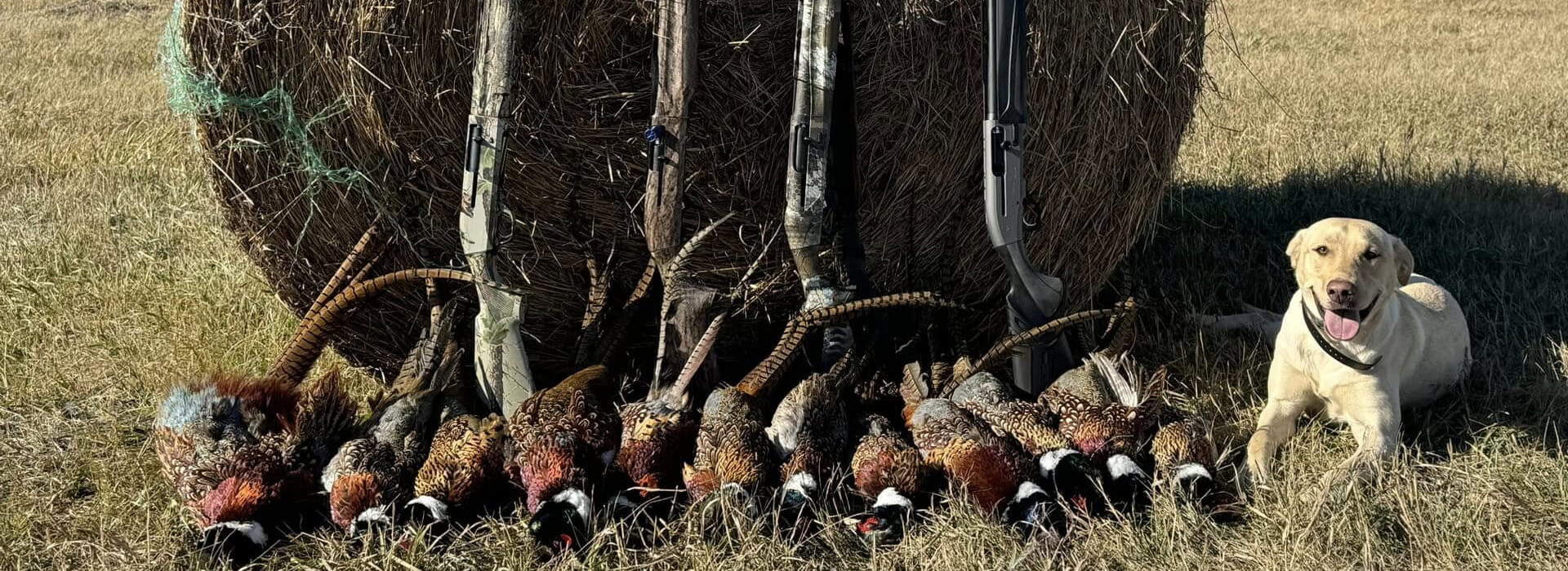 About Deadshot Outfitters