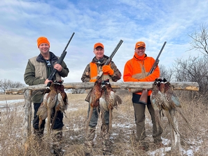Pheasant Hunting